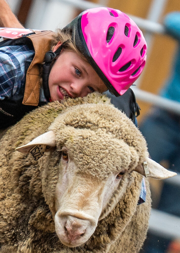 Fair_021.JPG
